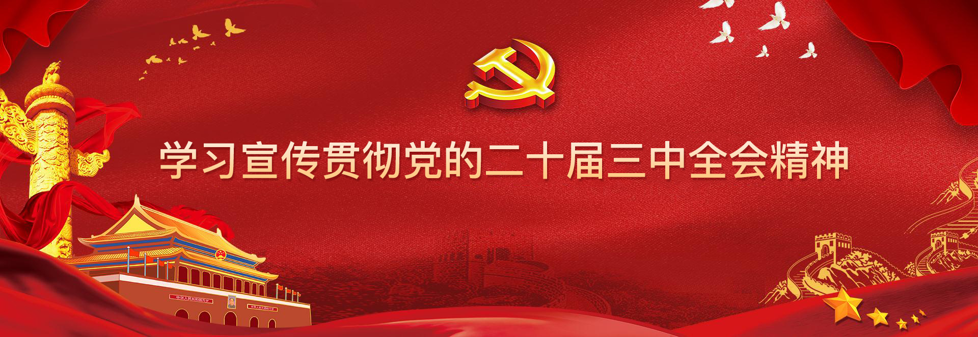 学习宣传贯彻党的二十大精神